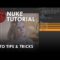 Nuke Tutorial – Roto Tips and Tricks